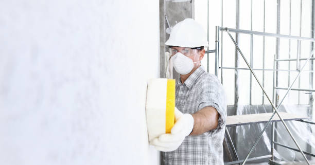 Best Post-Construction Mold Inspection  in USA